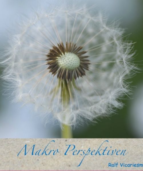 Kunstband Makro Perspektiven